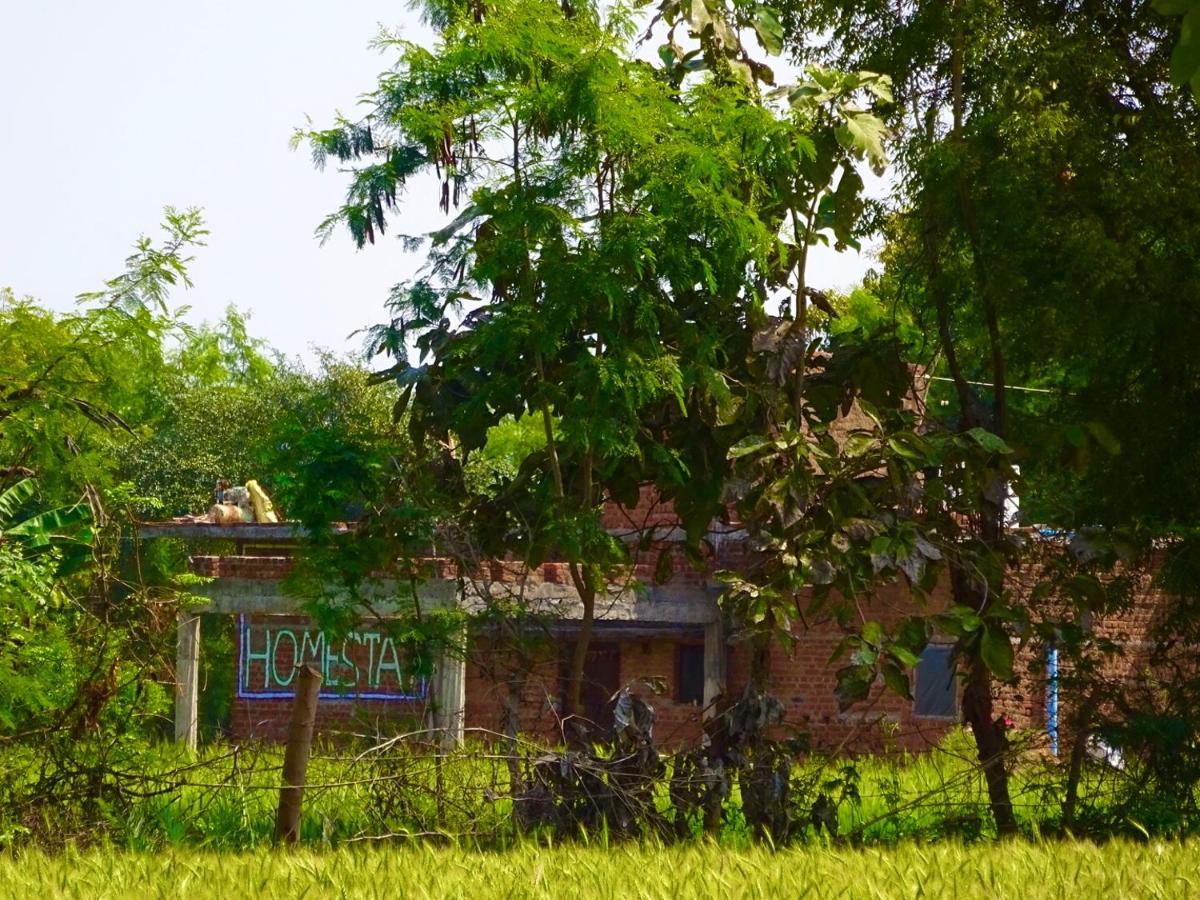 Maji Homestay Кхаджурахо Экстерьер фото